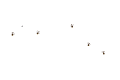 Cledan Valley Llamas and Alpacas logo